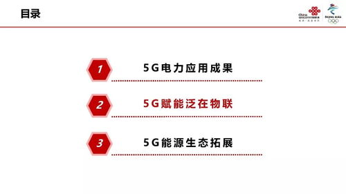 中國聯(lián)通網(wǎng)絡(luò)技術(shù)研究院張涌 5G使能泛在電力物聯(lián)網(wǎng)