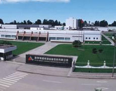 地奧集團(tuán)成都藥業(yè)股份 家庭常備藥品概覽與用藥指南